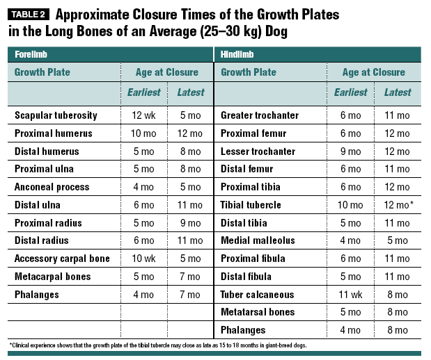 Puppy exercise and growth plates